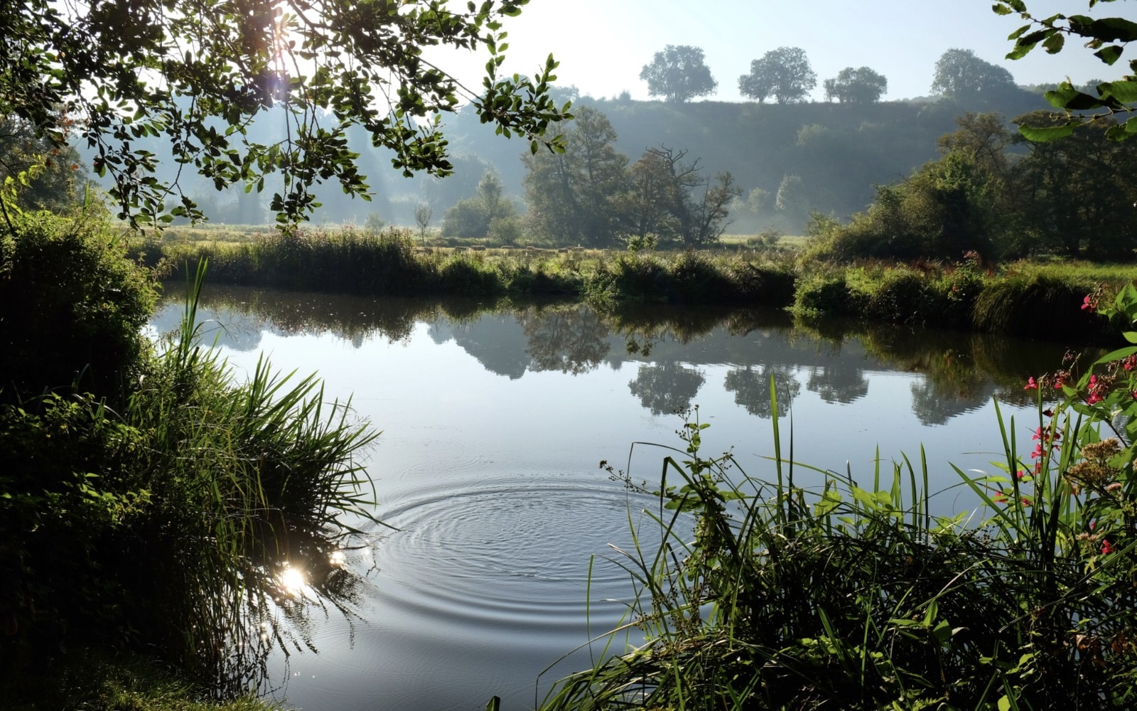 Appreciate quiet, reflective moments while you relax and recharge